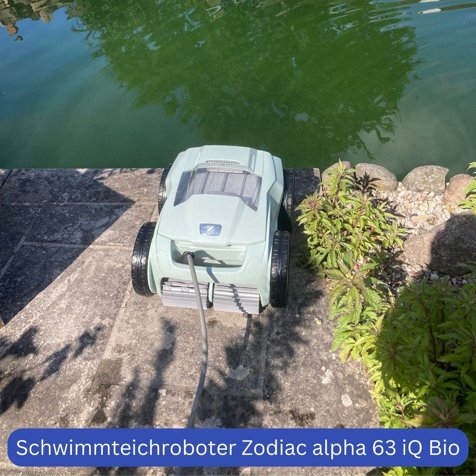 Poolroboter Zodiac alpha 63 iQ BIO - ideal für Schwimmteiche und Naturpools