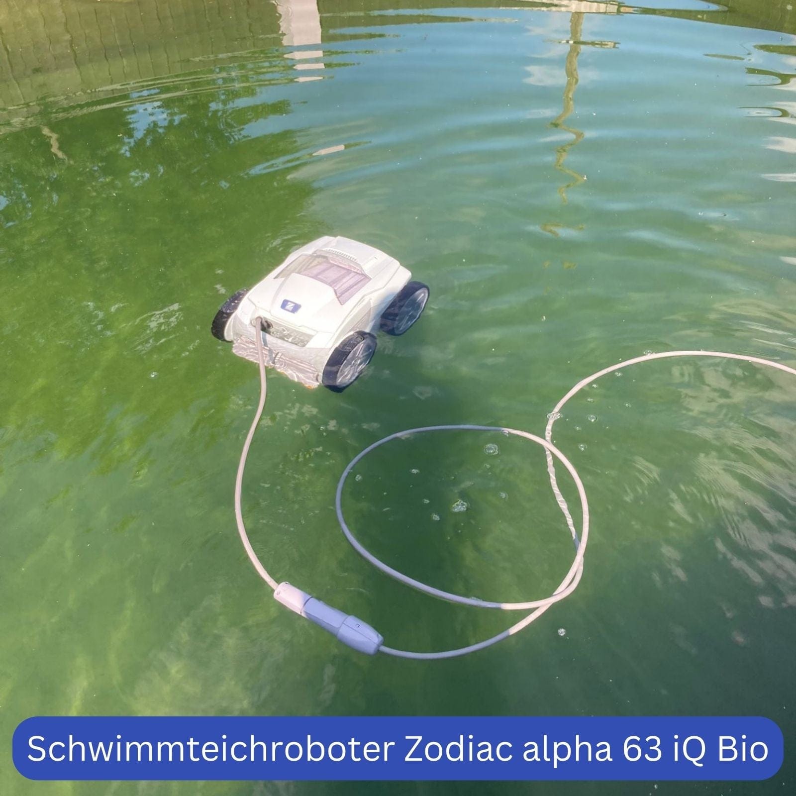 Poolroboter Zodiac alpha 63 iQ BIO - ideal für Schwimmteiche und Naturpools